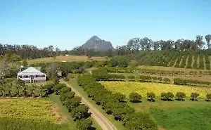 Mango Hill Farm Peachester